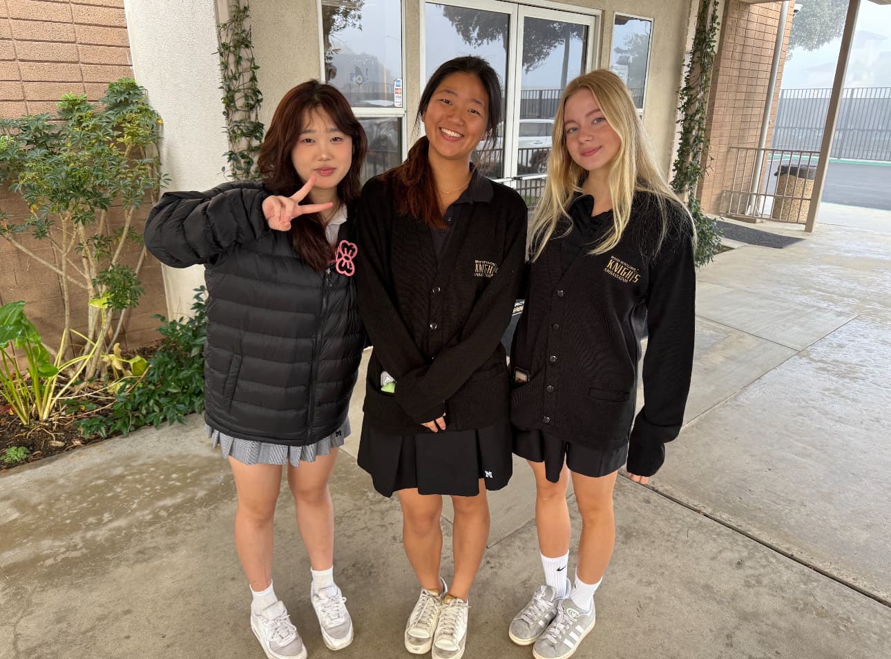 Ambassador leadership role - representing and guiding others